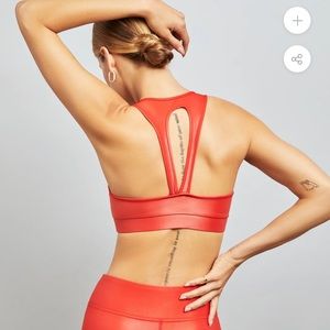 Carbon 38 Sports Bra